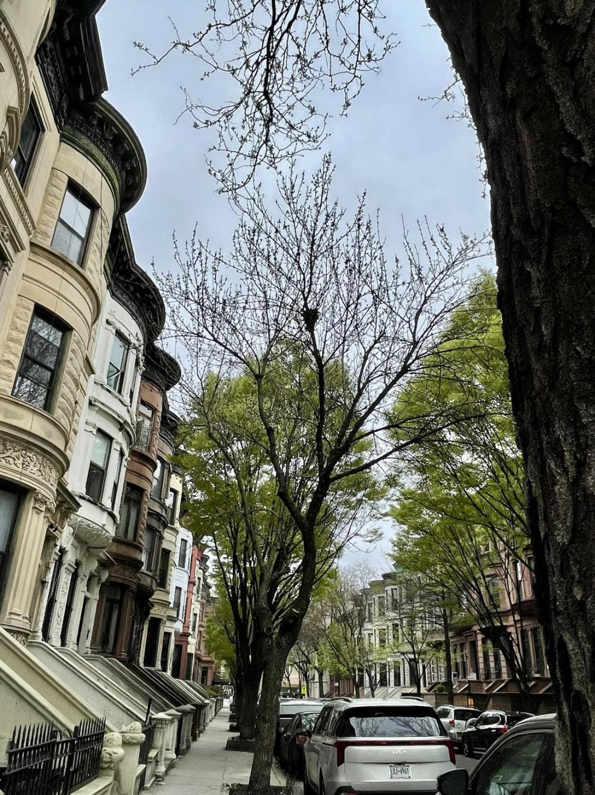 Nyc Townhouse Apartment New York Kültér fotó
